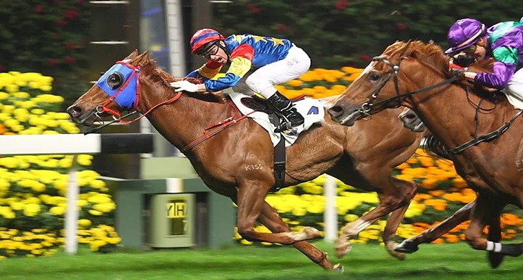 Khám Phá Thế Giới Đua Ngựa 188LOTO: Cuộc Phiêu Lưu Của Tốc Độ 6 Khám Phá Thế Giới Đua Ngựa: Cuộc Phiêu Lưu Của Tốc Độ